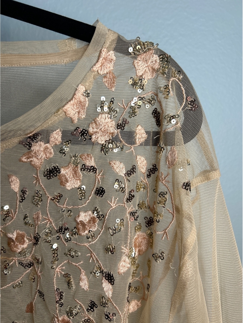 Zara Beige Sheer Mesh Embroidered Floral Top